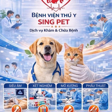 Bệnh Viện Thú Y Trực 24/24: Cấp Cứu Kịp Thời, Chăm Sóc Tận Tình Ngay Cả Trong Đêm.