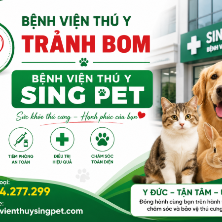 Bệnh Viện Thú Y Trảng Bom